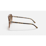 RAYBAN - BILL | Havana on Transparent Brown w/ Gradient Brown