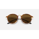 RAYBAN - ROUND FLECK | Polished Brown Havana w/ Brown