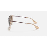 RAYBAN - ERIKA | Translucent Brown w/ Brown