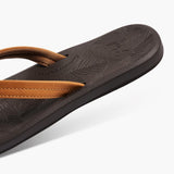 REEF - REEF TIDES | BROWN