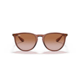 RAYBAN - ERIKA | Transparent Light Brown w/ Brown