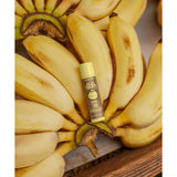 SUN BUM - Lipbalm | Banana SPF 30 - The Cabana.ca