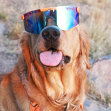 PIT VIPER - THE ORIGINALS | THE CRUSH POLARIZED - The Cabana.ca