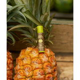 SUN BUM - Lipbalm | Pineapple SPF 30