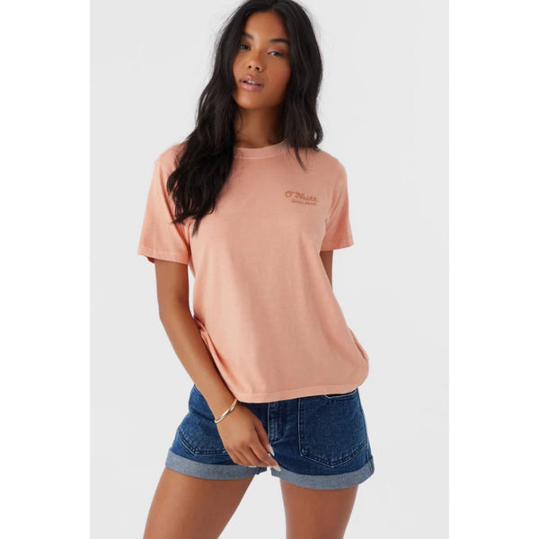 ONEILL - ESTABLISHED REGULAR FIT TEE | CANYON SUNSET