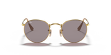 RAYBAN - ROUND METAL | Arista w/ Photochromic Evolve Grey - The Cabana.ca
