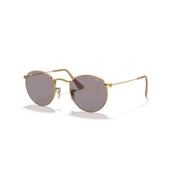 RAYBAN - ROUND METAL | Arista w/ Photochromic Evolve Grey - The Cabana.ca